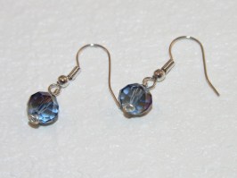 Shimmer A Shine Earrings