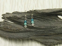 Paradise Coin Earrings