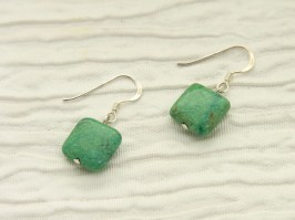 Tropical Rainforest Earrings